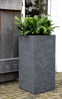 Plantenbak Arizona Cubihi - L33 X B33 X H70cm - Donkergrijs -Woondecoratie Winkel arizona cubihi graphite w33h70 plantenbak 7 4