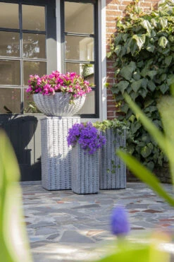 Plantenschaal Arkansas - D55 X H24cm - Lichtgrijs 7 Plantenschaal Arkansas - D55 X H24cm - Lichtgrijs -Woondecoratie Winkel arkansas bowl low washed grey d55h24 bloempot 7 9