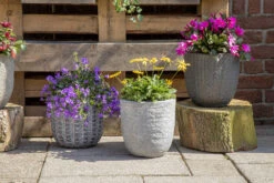 Bloempot Arkansas Egg Washed - D55 X H51cm - Lichtgrijs -Woondecoratie Winkel arkansas egg pot washed grey d55h51 bloempot 7 9