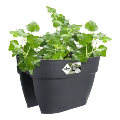 Elho Balkonbak Vibia Campana Bridge 40cm - Antraciet -Woondecoratie Winkel balkonbak vibia campana bridge 40cm antraciet balkonbak antraciet 3 1