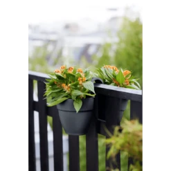 Elho Balkonbak Vibia Campana Twin 21cm - Antraciet -Woondecoratie Winkel balkonbak vibia campana twin 21cm antraciet balkonbak antraciet 5 1