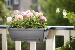 Balkonbak Elho Barcelona Allin 1 50cm - Antraciet -Woondecoratie Winkel barcelona allin1 50cm plantenbak antraciet 7 18