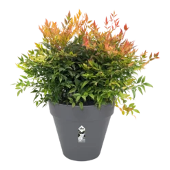 Bloempot Elho Loft Urban Rond 50cm - Antraciet -Woondecoratie Winkel bloempot elho loft urban rond antraciet bloempot antraciet 3 2