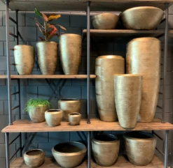 Plantenschaal Kos - D55 X H22cm - Goud -Woondecoratie Winkel bloempot kos serie goud bloempot 3 1 1