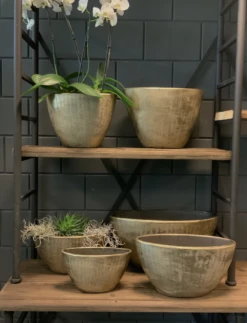 Bloempot Kos Ovaal - L30 X B13 X H17cm - Goud -Woondecoratie Winkel bloempot kos serie ovaal goud bloempot 3 1 1