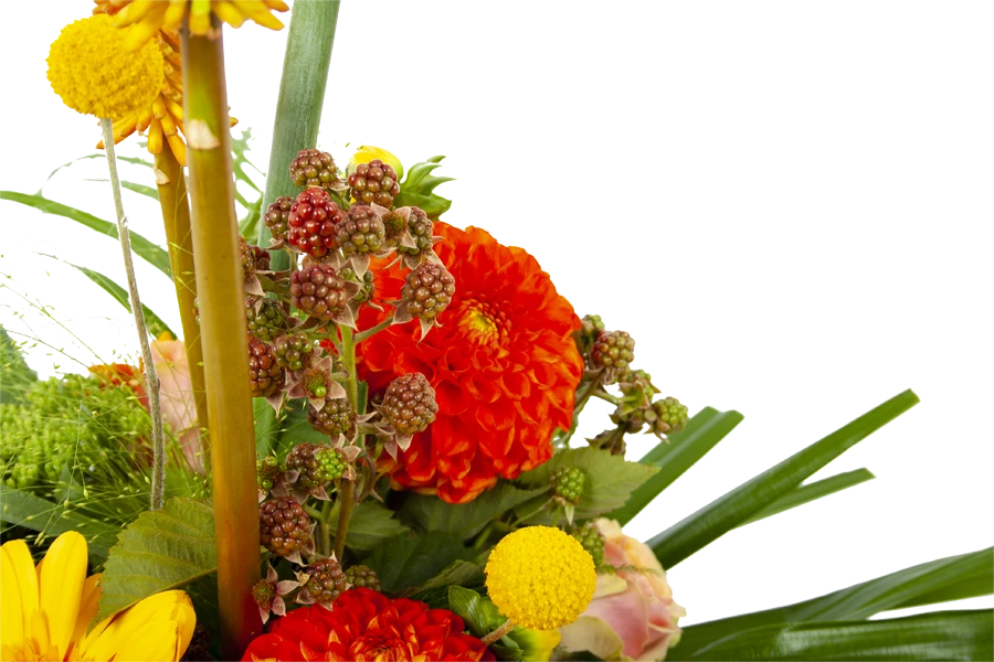 Boeket Beatrix Middel 5 Boeket Beatrix Middel - Afbeelding 3