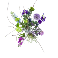 Nieuwe uitgaven 1 Boeket Biezen Middel