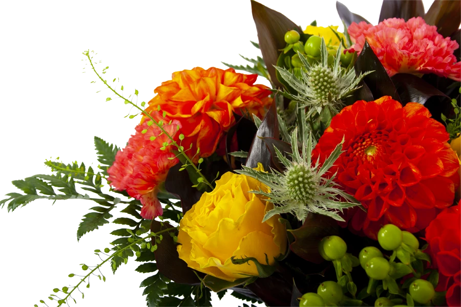 Boeket Dahlia Middel 6 Boeket Dahlia Middel - Afbeelding 4