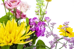 Boeket Eline Groot 10 Boeket Eline Groot -Woondecoratie Winkel boeket eline boeketten 3 1