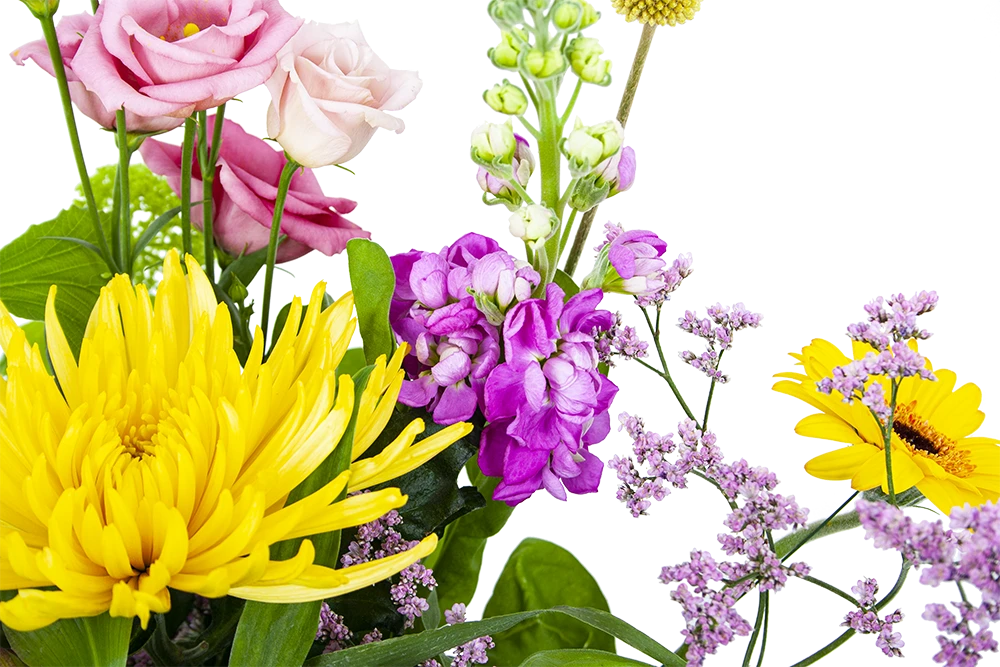 Boeket Eline Klein 5 Boeket Eline Klein - Afbeelding 3