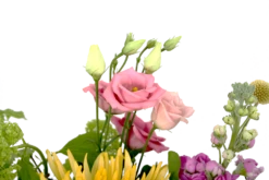 Boeket Eline Klein 11 Boeket Eline Klein -Woondecoratie Winkel boeket eline boeketten 4