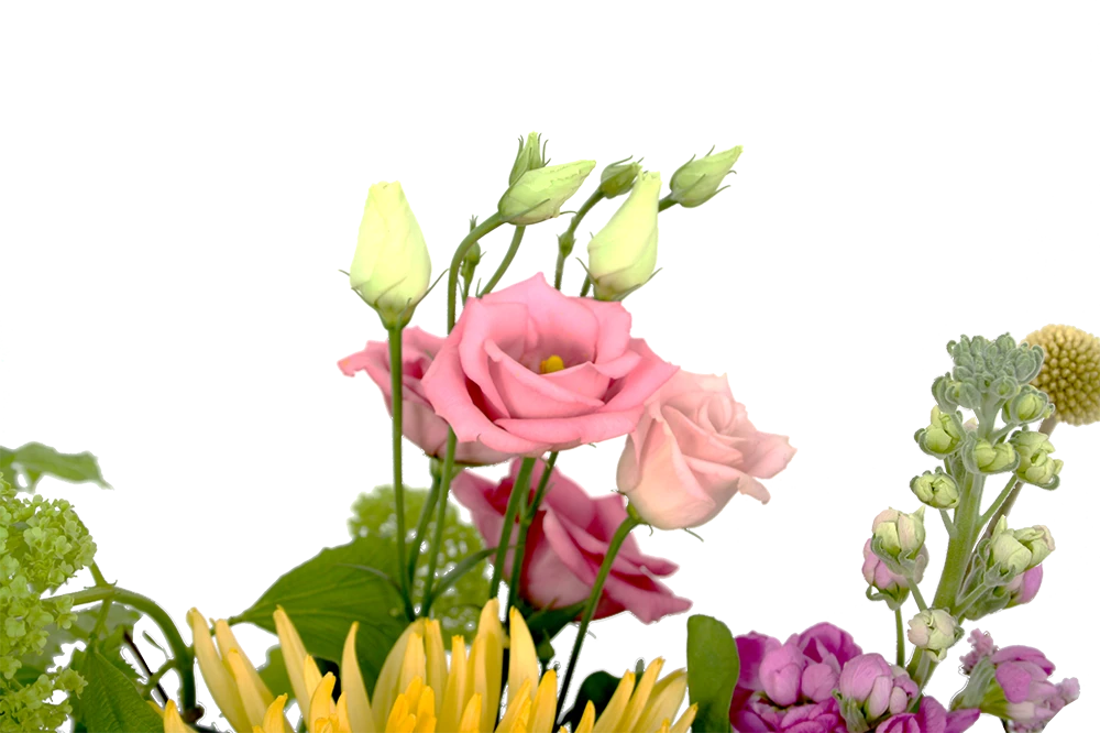 Boeket Eline Klein 6 Boeket Eline Klein - Afbeelding 4