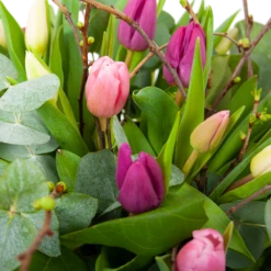 Boeket Kleurrijke Tulp Groot -Woondecoratie Winkel boeket kleurrijke tulp boeketten 3