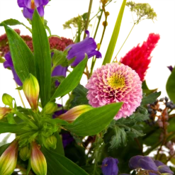 Boeket Paarse Passie Klein -Woondecoratie Winkel boeket paarse passie klein boeketten 4