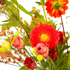 Boeket Plukgeluk Groot -Woondecoratie Winkel boeket plukgeluk groot boeketten 3