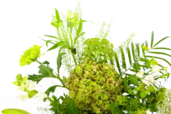 Boeket Puur Natuur Groot -Woondecoratie Winkel boeket puur natuur boeketten 4 1