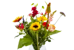 Boeket Vlinder Klein -Woondecoratie Winkel boeket vlinder boeketten 4 3