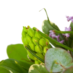 Boeket Vrolijk Seizoen Klein -Woondecoratie Winkel boeket vrolijk seizoen boeketten 3