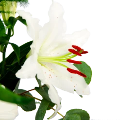 Boeket Witte Winter Middel -Woondecoratie Winkel boeket witte winter boeketten 4