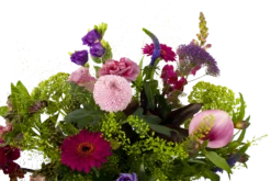 Boeket Zomerbries Klein -Woondecoratie Winkel boeket zomerbries boeketten 3 5