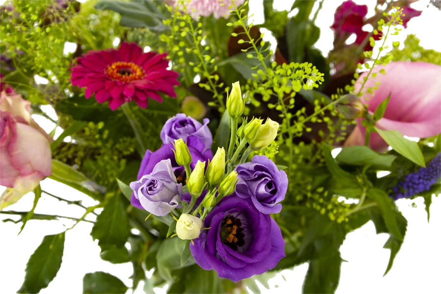 Boeket Zomerbries Groot 6 Boeket Zomerbries Groot - Afbeelding 4