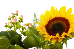 Boeket Zonnestraal Middel -Woondecoratie Winkel boeket zonnestraal boeketten 4 3