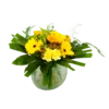 Boeket Zonnetje Groot 2 Boeket Zonnetje Groot -Woondecoratie Winkel boeket zonnetje boeketten 1 1