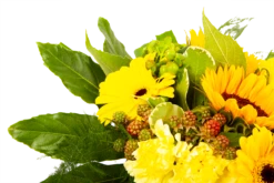 Boeket Zonnetje Groot -Woondecoratie Winkel boeket zonnetje boeketten 4 1