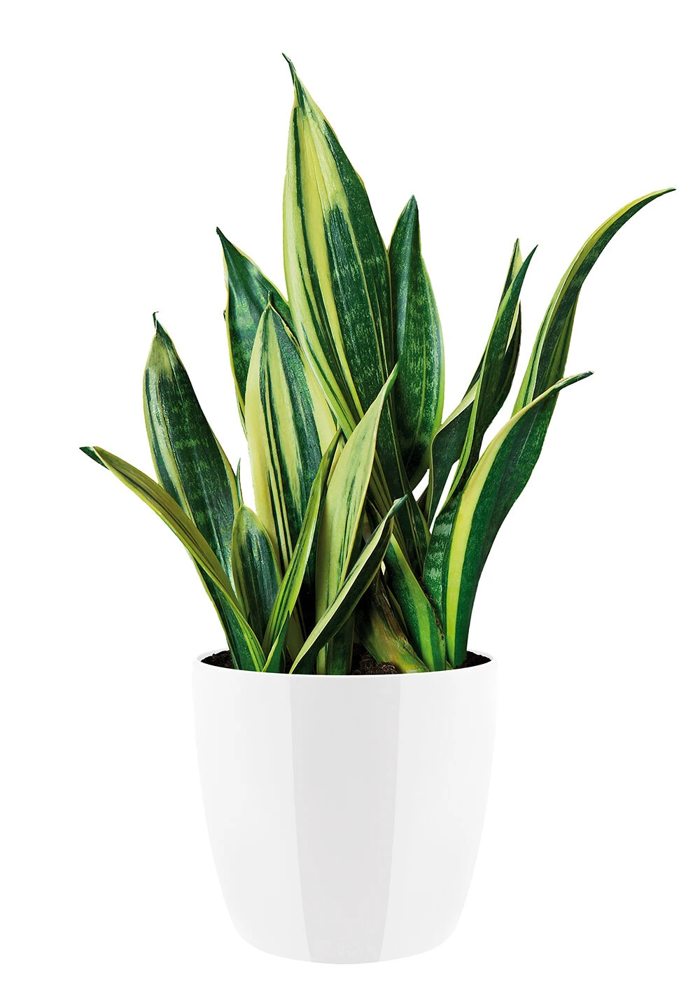 Bloempot Elho Brussels Diamond Rond 30cm - Wit 5 Bloempot Elho Brussels Diamond Rond 30cm - Wit - Afbeelding 3