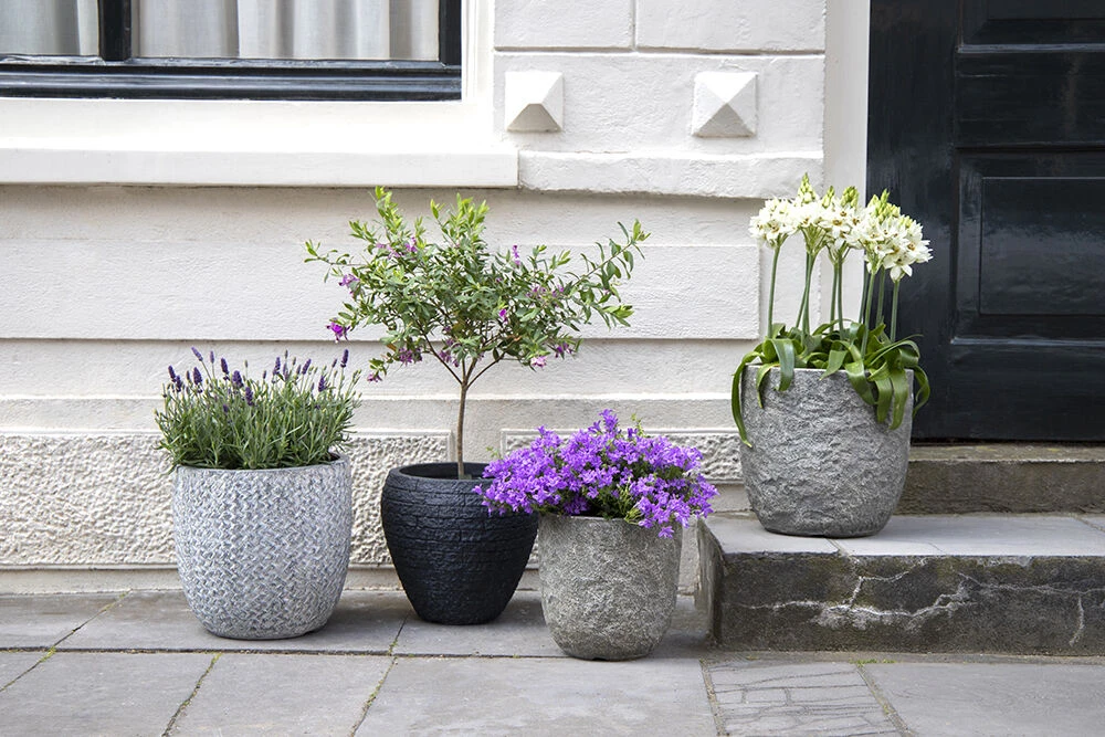 Bloempot Colorado Egg - D25 X H25cm - Grijs - Afbeelding 3