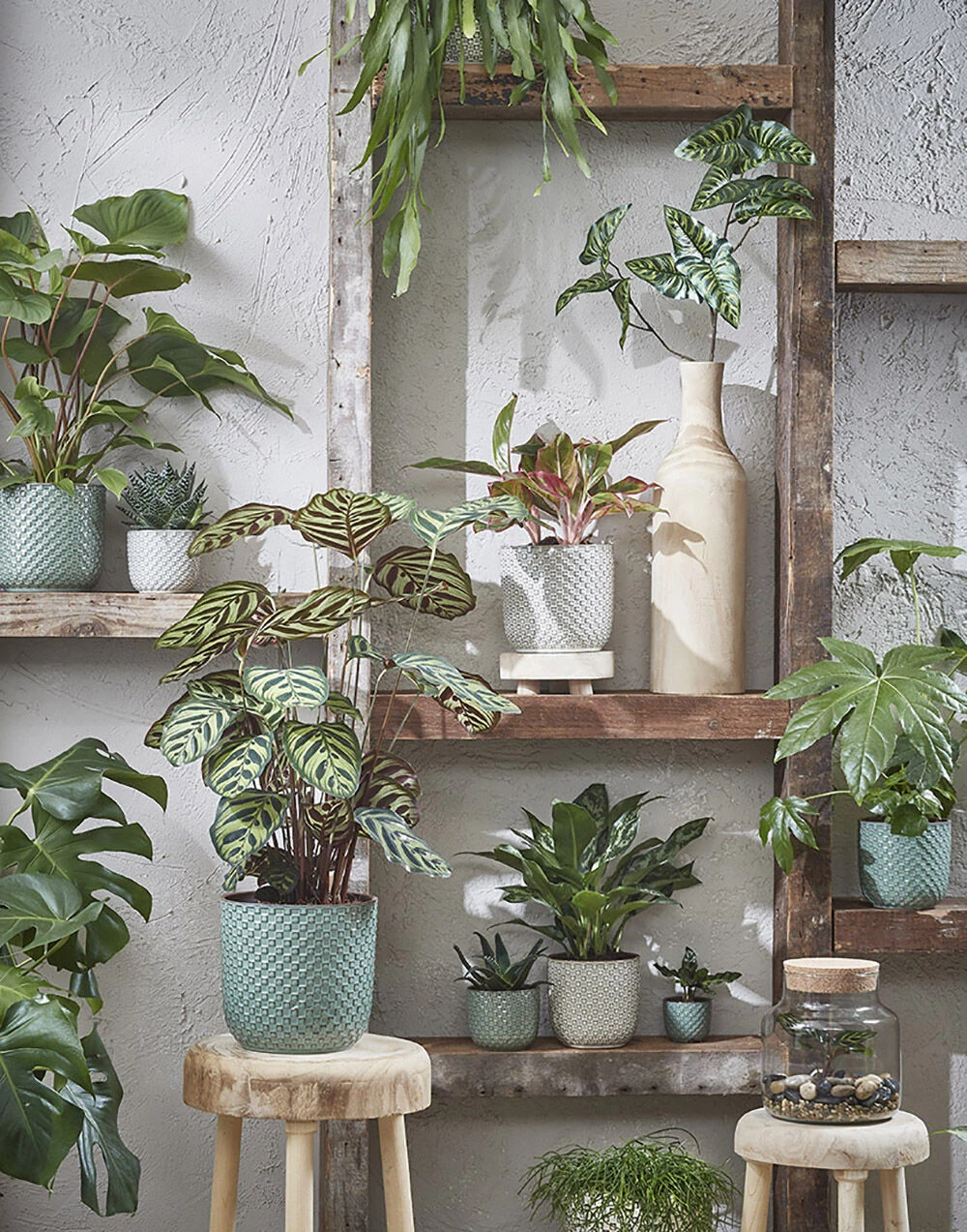 Bloempot Daan - D21.5 X H20.5cm - Groen 5 Bloempot Daan - D21.5 X H20.5cm - Groen - Afbeelding 3