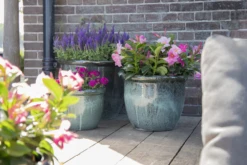 Bloempot Glazed Hp001 - D50 X H39cm - Groen 7 Bloempot Glazed Hp001 - D50 X H39cm - Groen -Woondecoratie Winkel glazed hp001 moss green d50h39 bloempot groen 7 6