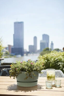 Plantenschaal Elho Greenville 33cm - Bladgroen -Woondecoratie Winkel greenville schaal 33cm bloempot bladgroen 6 13