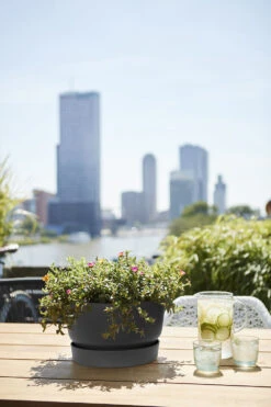 Plantenschaal Elho Greenville 33cm - Living Black -Woondecoratie Winkel greenville schaal 33cm bloempot living black 6 13