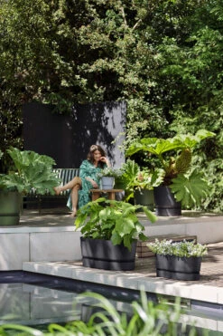 Bloembak Elho Greenville Terrace Long 70cm - Met Wielen - Living Black -Woondecoratie Winkel greenville trough long 70 plantenbak living black 6 13