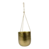 Hangpot Kody - D17 X H20cm - Goud -Woondecoratie Winkel hanger kody gold d17 h20 hangpot 1 4