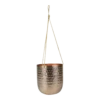 Hangpot Kody - D16 X H18cm - Rosu00e9 Goud