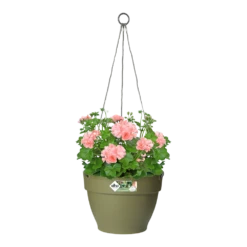 Elho Hangschaal Vibia Campana 26cm - Saliegroen 8 Elho Hangschaal Vibia Campana 26cm - Saliegroen -Woondecoratie Winkel hangschaal vibia campana 26cm saliegroen hangpot saliegroen 3 1