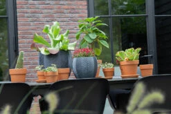 Bloempot Iowa Bullet - D44 X H39cm - Donkergrijs -Woondecoratie Winkel iowa bullet graphite d44h39 bloempot 7 9