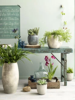 Woondecoratie Winkel -Woondecoratie Winkel lester pot rond d blauw h35xd38cm bloempot 6 12