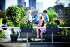 Balkonbak Elho Loft Urban Allin1 50cm - Antraciet -Woondecoratie Winkel loft urban balkonbak allin1 50 plantenbak antraciet 7 13