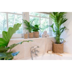 Plantenmand Joris - D30 X H27cm - Naturel -Woondecoratie Winkel plantenmand joris naturel plantenmand 3 2