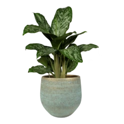 Woondecoratie Winkel -Woondecoratie Winkel pot ryan shiny blue keramiek d36 h32 bloempot 6 5