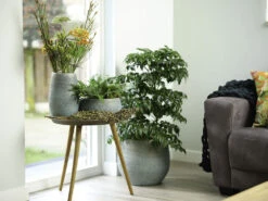 Bloempot Ryan - D36 X H32cm - Shiny Blue 7 Bloempot Ryan - D36 X H32cm - Shiny Blue -Woondecoratie Winkel pot ryan shiny blue keramiek d36 h32 bloempot 7 10