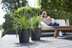 Bloempot Elho Vibia Straight Rond 40cm - Antraciet -Woondecoratie Winkel vibia straight rond 40cm bloempot antraciet 7 11