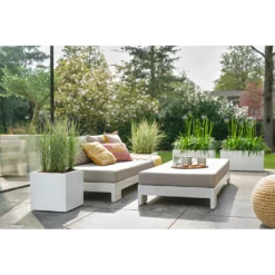 Elho Vivo Next Vierkant Wielen 40cm - Wit -Woondecoratie Winkel vivo next vierkant wielen 40cm wit 7 1